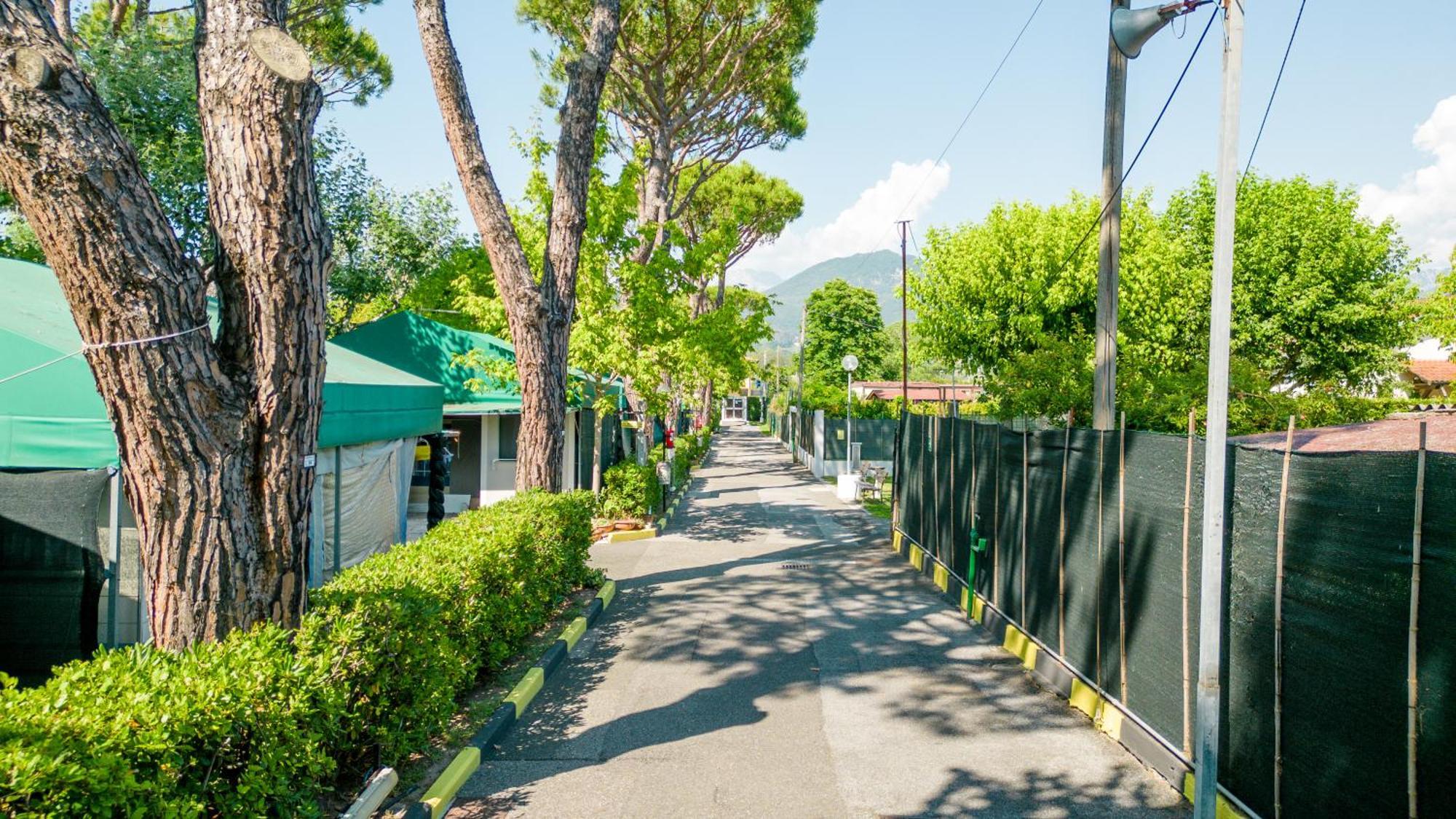 Camping Apuano Marina di Massa Exterior foto