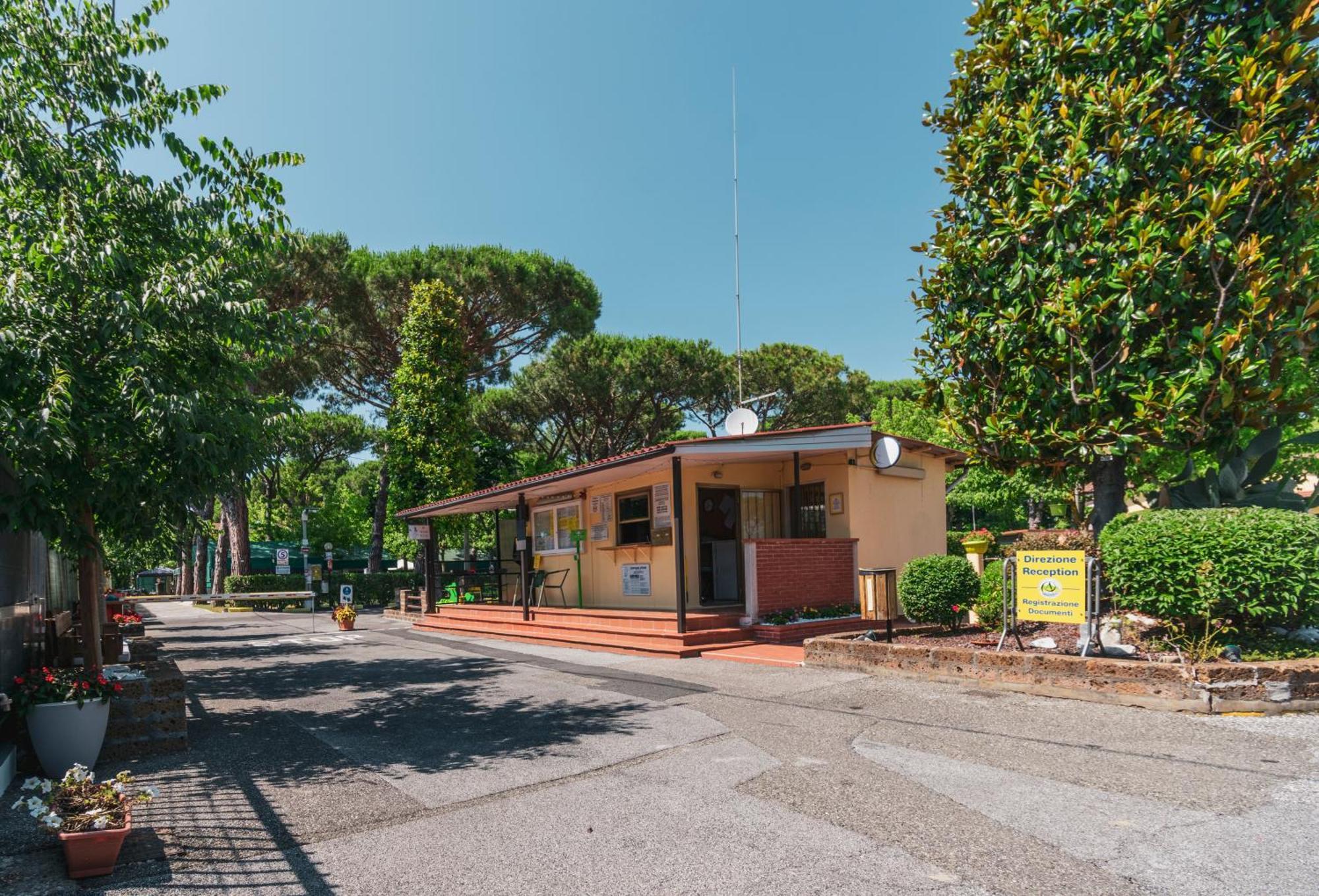 Camping Apuano Marina di Massa Exterior foto